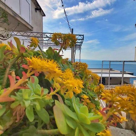 Apartment Cedo أوميس المظهر الخارجي الصورة