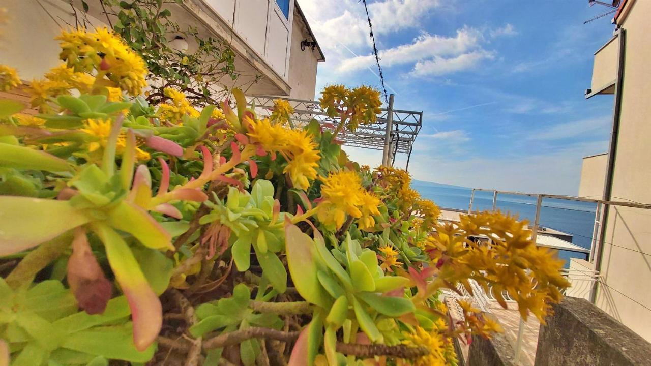 Apartment Cedo أوميس المظهر الخارجي الصورة